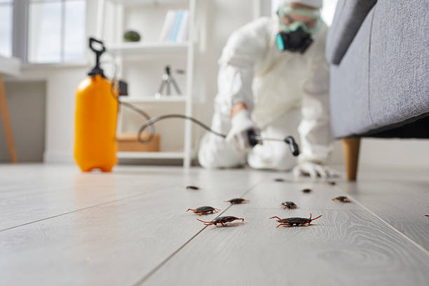Commercial Kitchen Cockroach Control in South Whitley